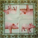 014 Pigs - 3-ply (gold) - Ihr
